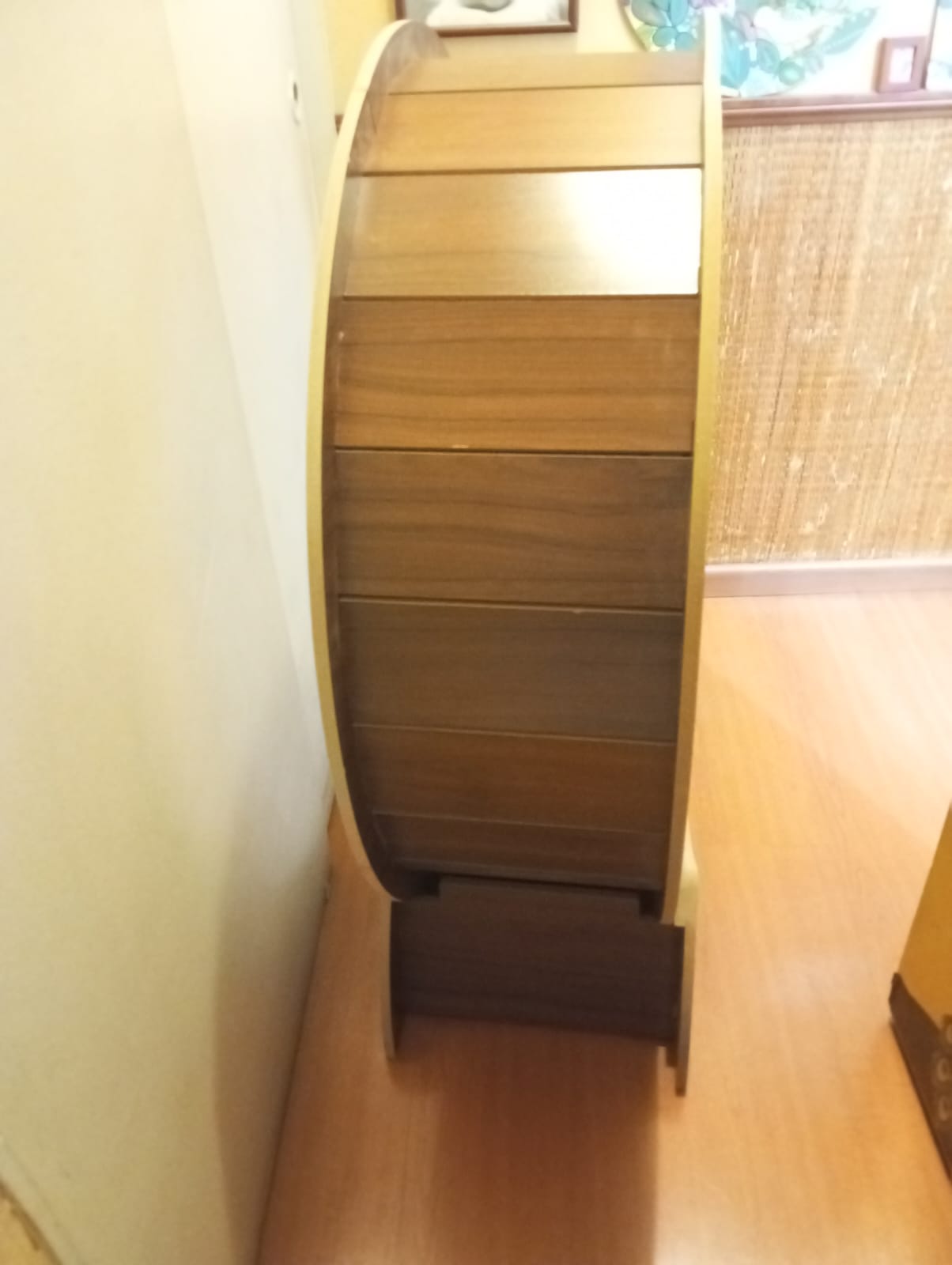 Rueda de ejercicio para gatos - Imagen 2