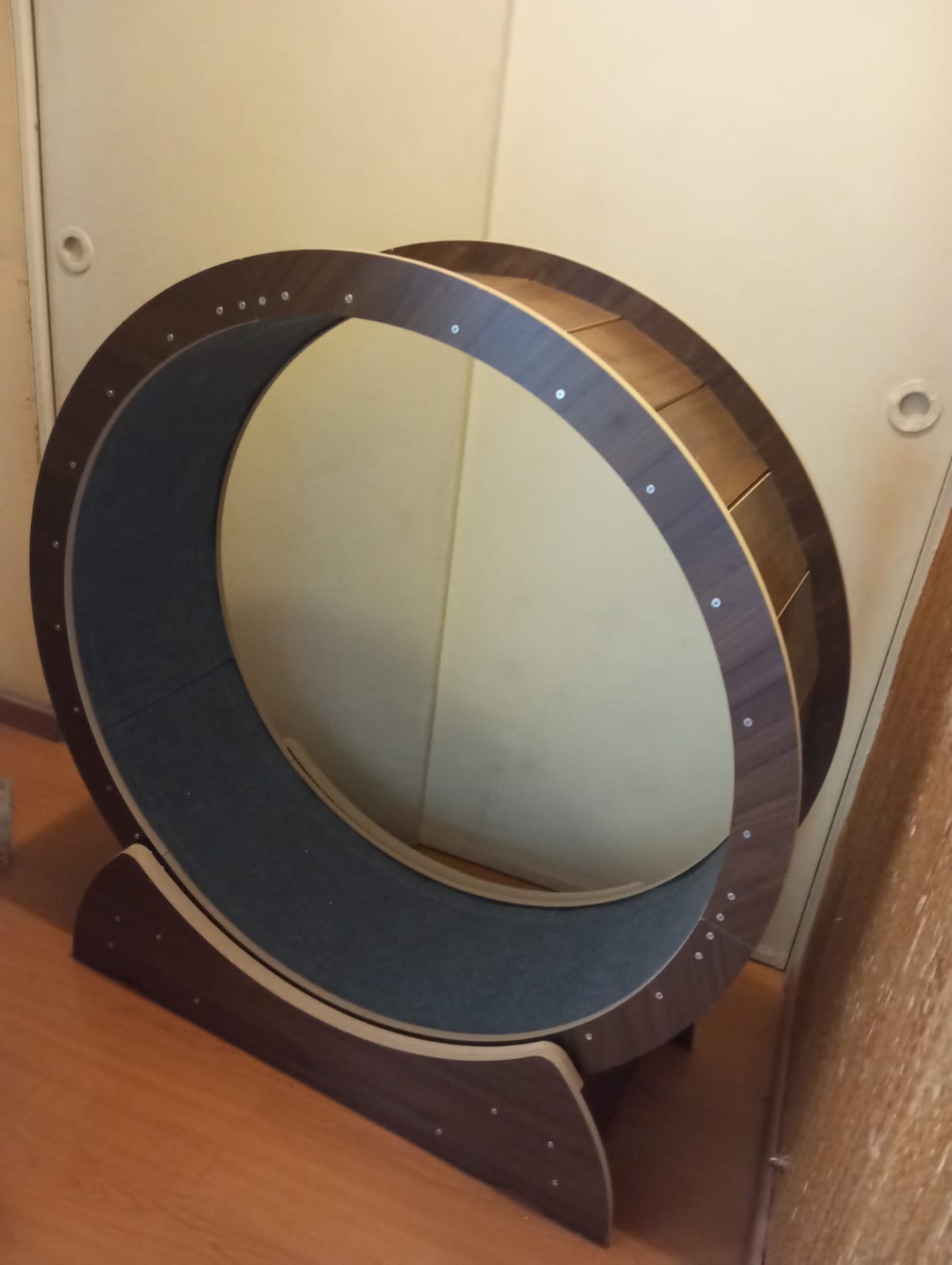 Rueda de ejercicio para gatos - Imagen 3