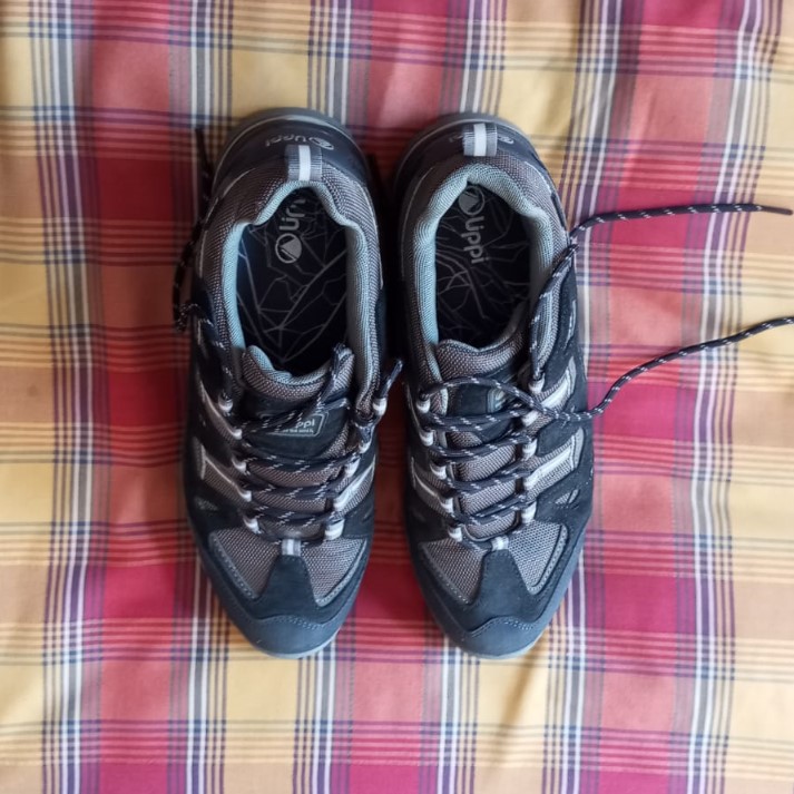 Zapatillas hombre Lippi