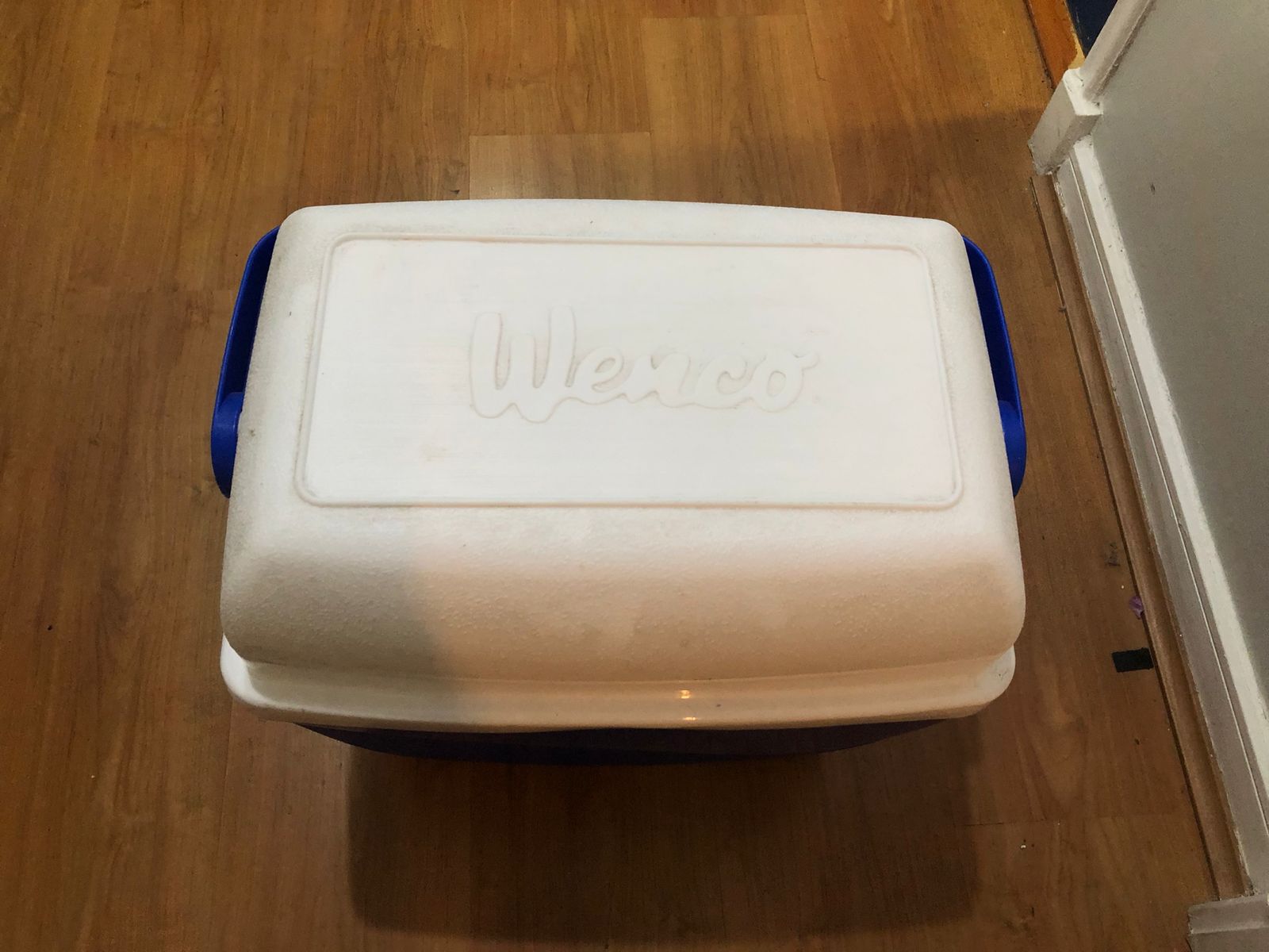 Cooler Wenco 32 Lts - Imagen 3