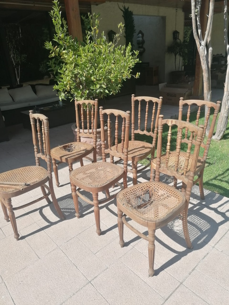 Sillas Viena para restaurar