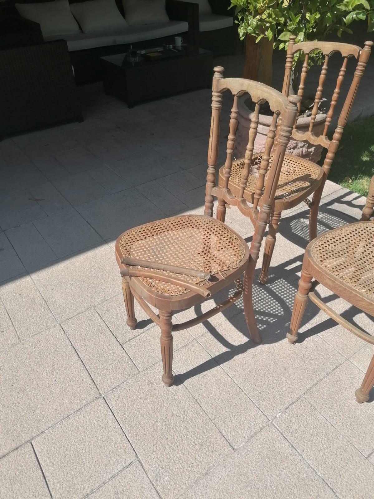 Sillas Viena para restaurar - Imagen 2