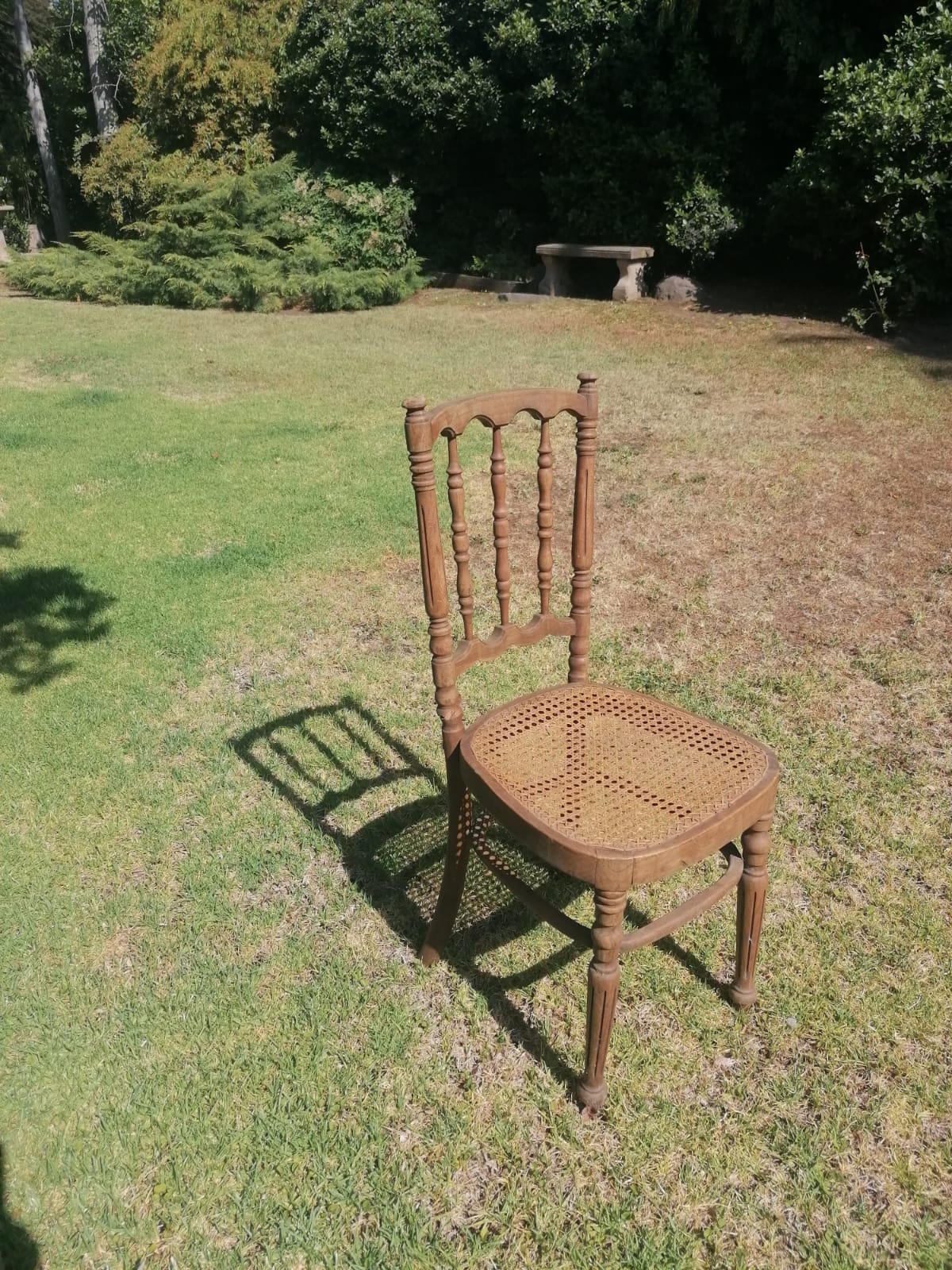 Sillas Viena para restaurar - Imagen 6