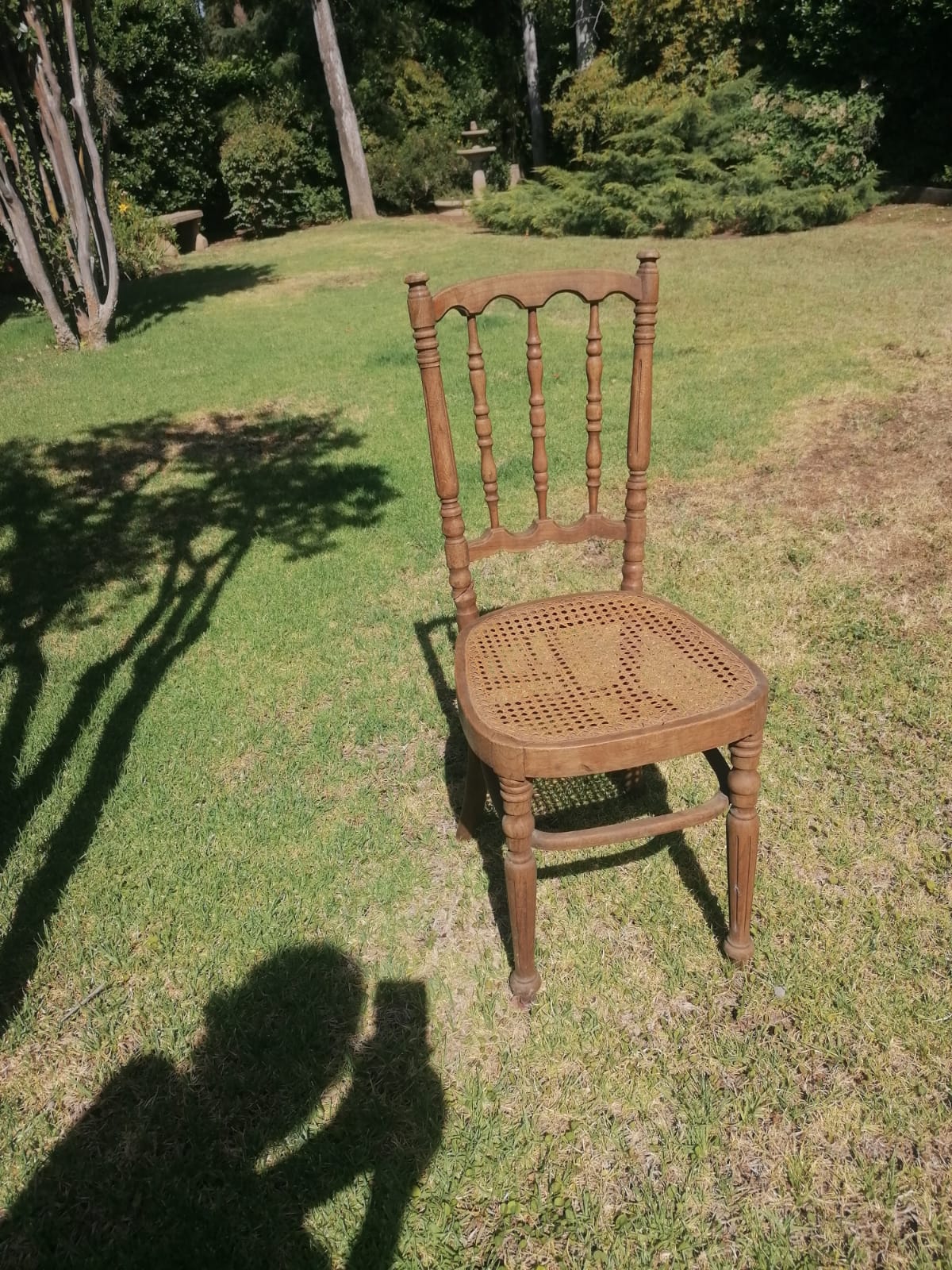 Sillas Viena para restaurar - Imagen 3