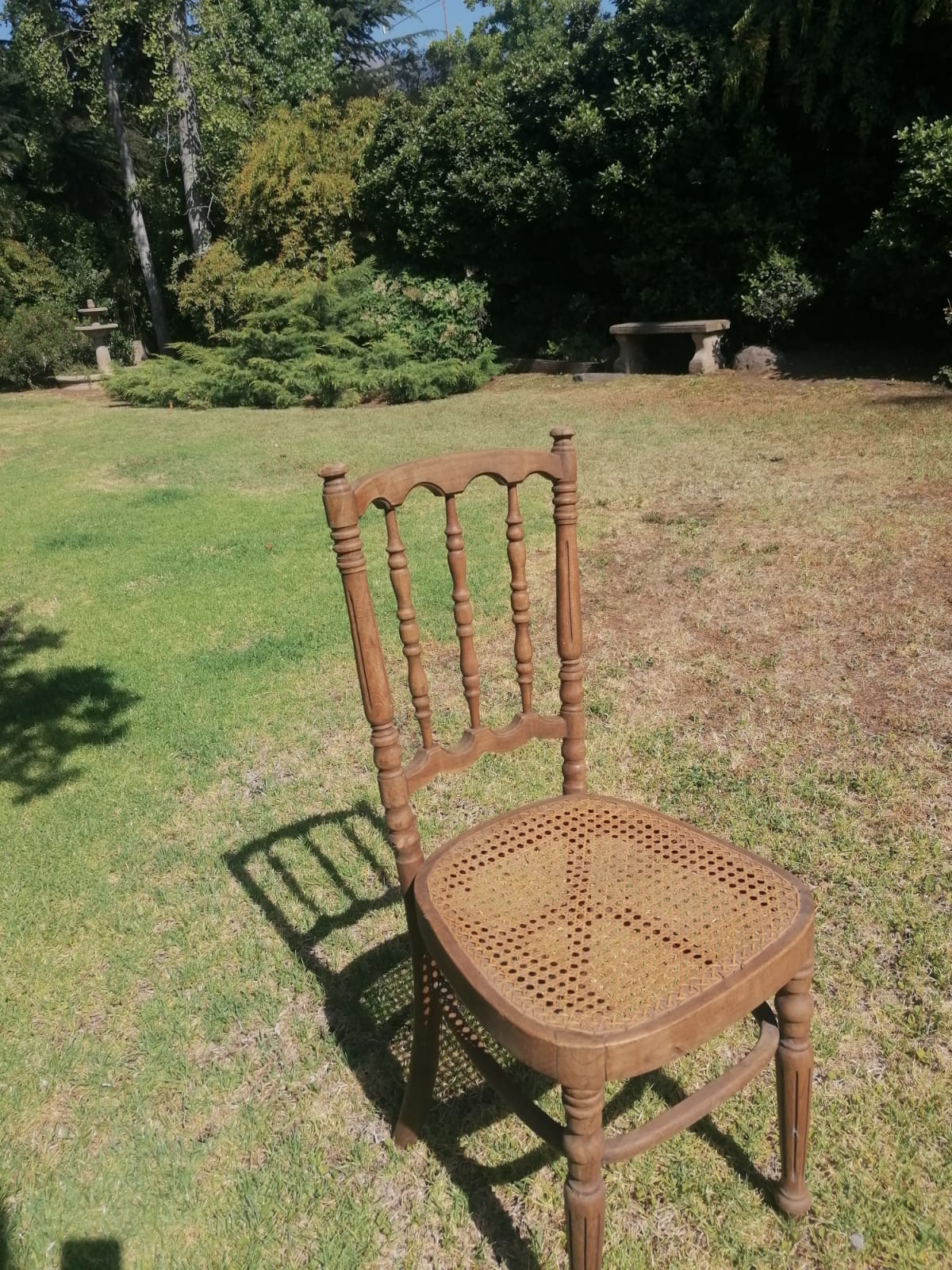 Sillas Viena para restaurar - Imagen 8