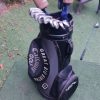 Set palos de gold Callaway Big Bertha