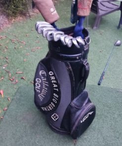 Set palos de gold Callaway Big Bertha