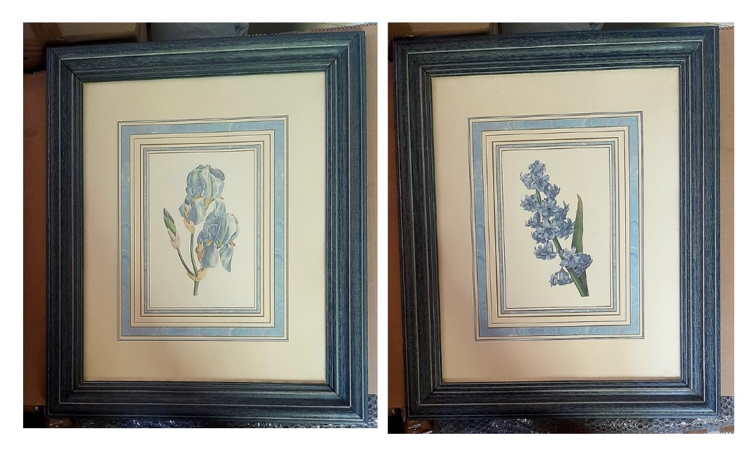 Laminas Flores decorativas