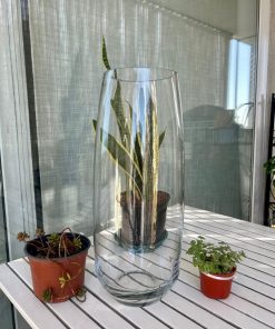 Jarrón de vidrio minimalista