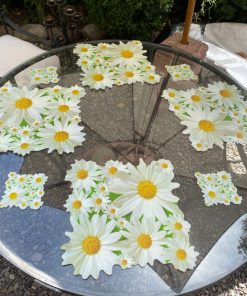 Juego de individuales y posavasos floreados