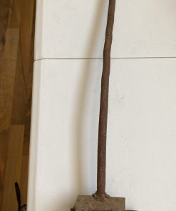 Marcador de animales