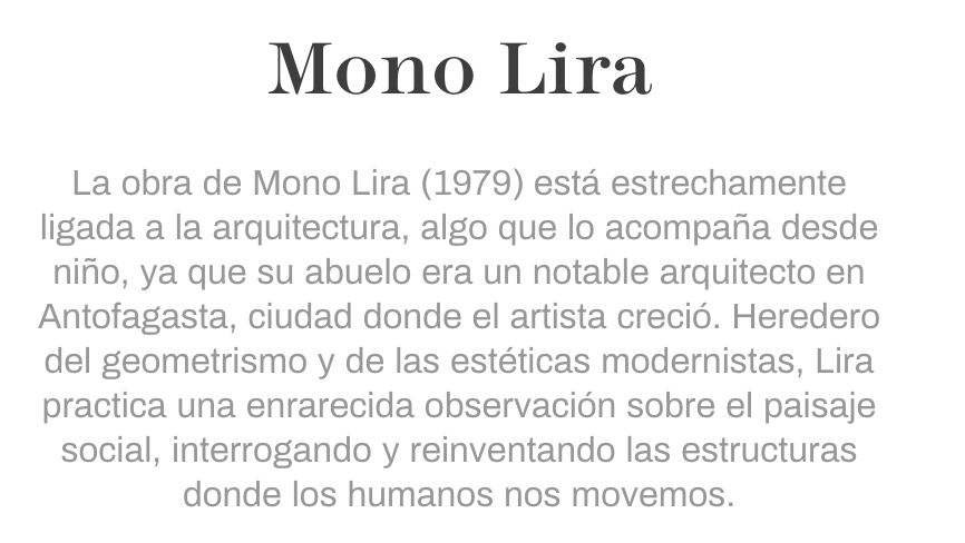 Cuadro Multicolor Mono Lira. - Imagen 2