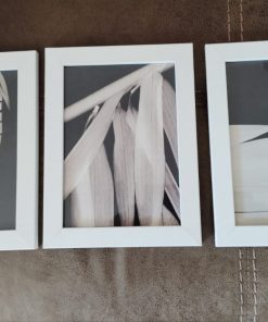 Set 3 cuadros laminas Bambú