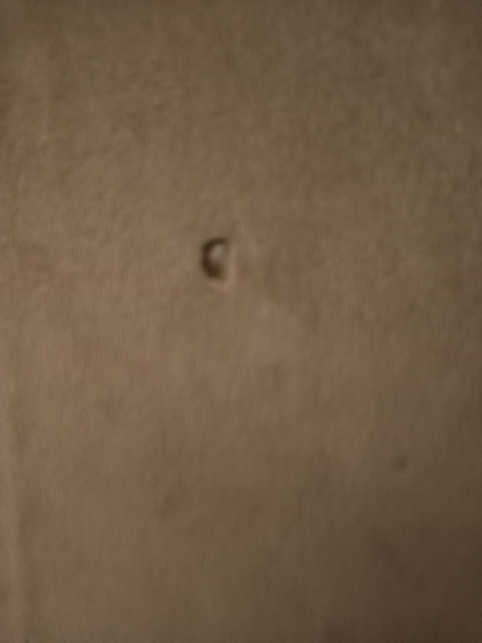 Sofá 3 cuerpos felpa gris - Imagen 3