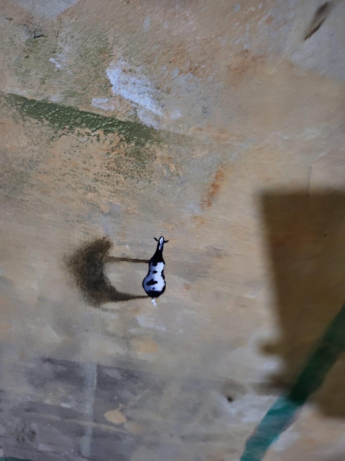 Cuadro abstracto flor Giancarlo Bertini - Imagen 4