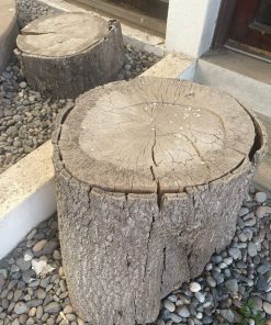 Set de 5 troncos de árbol