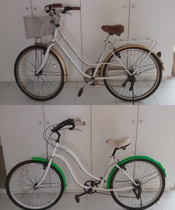 Bicicleta de paseo gama aro 26