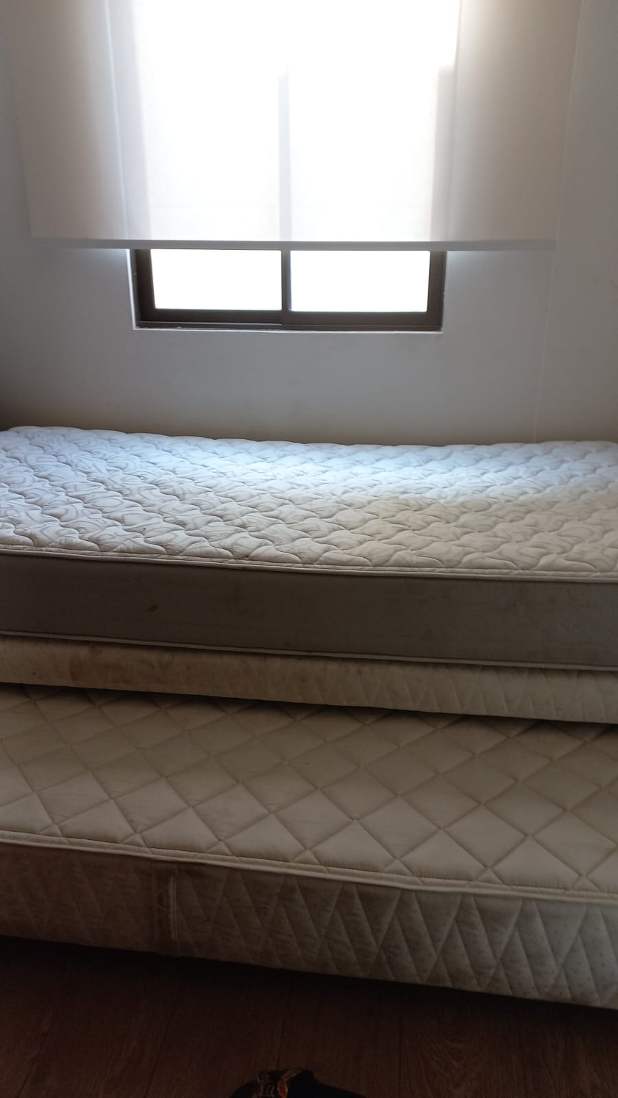 Cama nido 1.5 plazas Rosen - Imagen 2