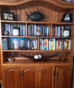 Vitrina biblioteca Raulí