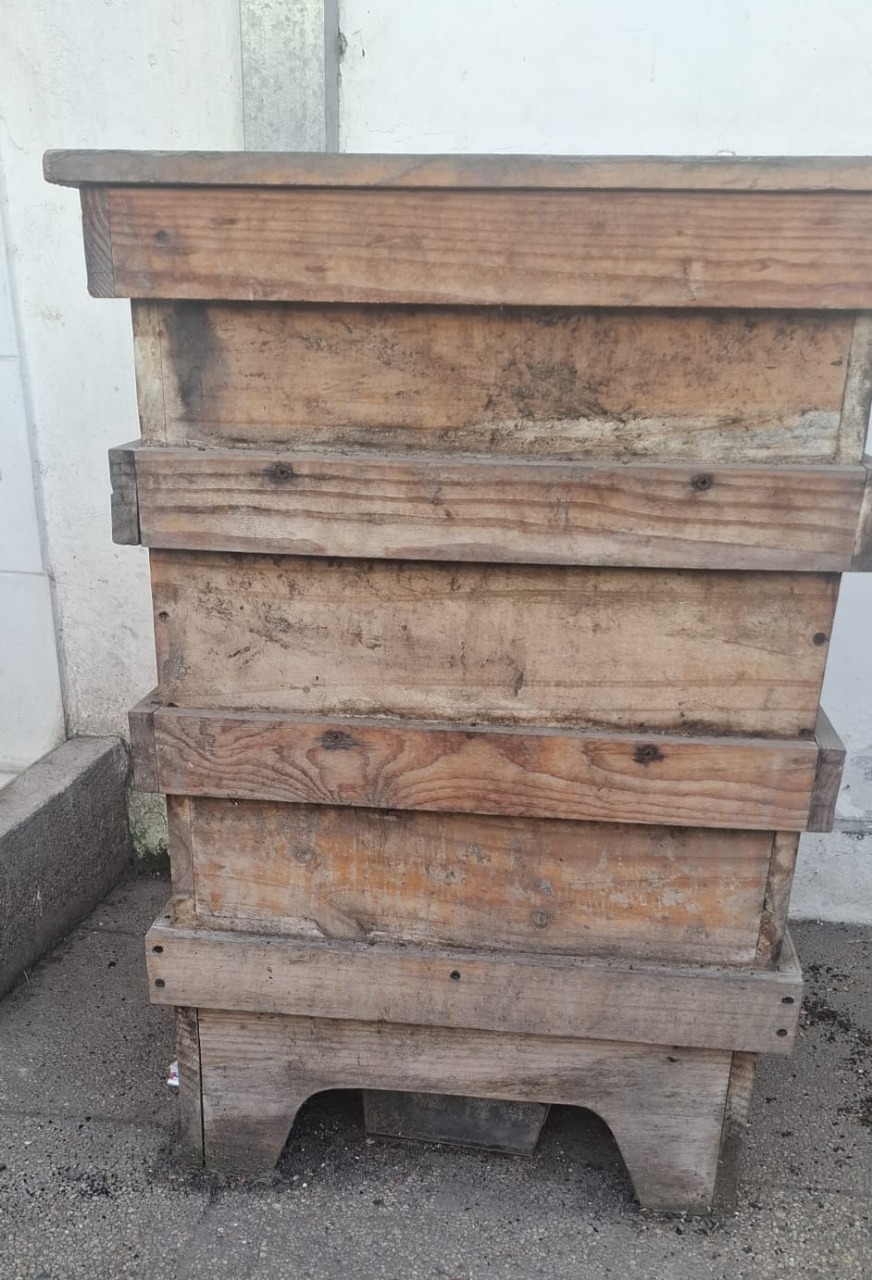 Vermicompostera con lombrices californianas