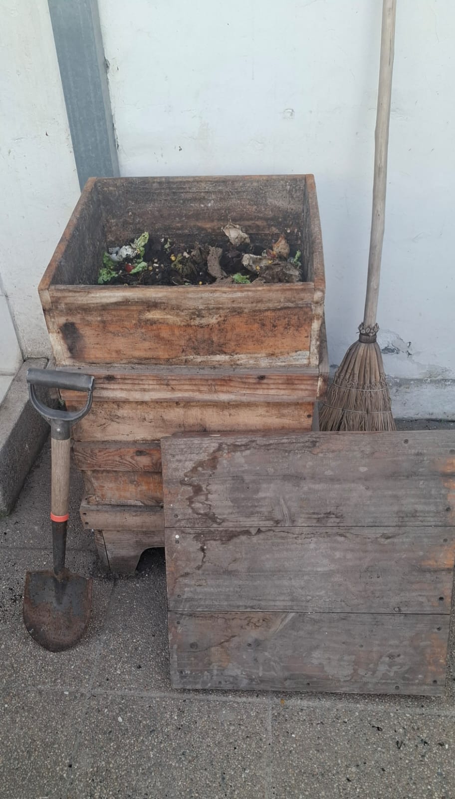 Vermicompostera con lombrices californianas - Imagen 3