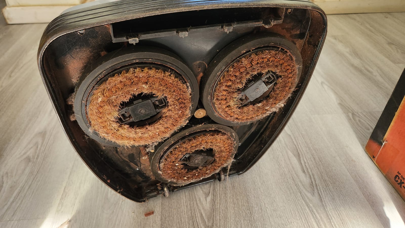 Lustraspiradora y enceradora Somela - Imagen 2