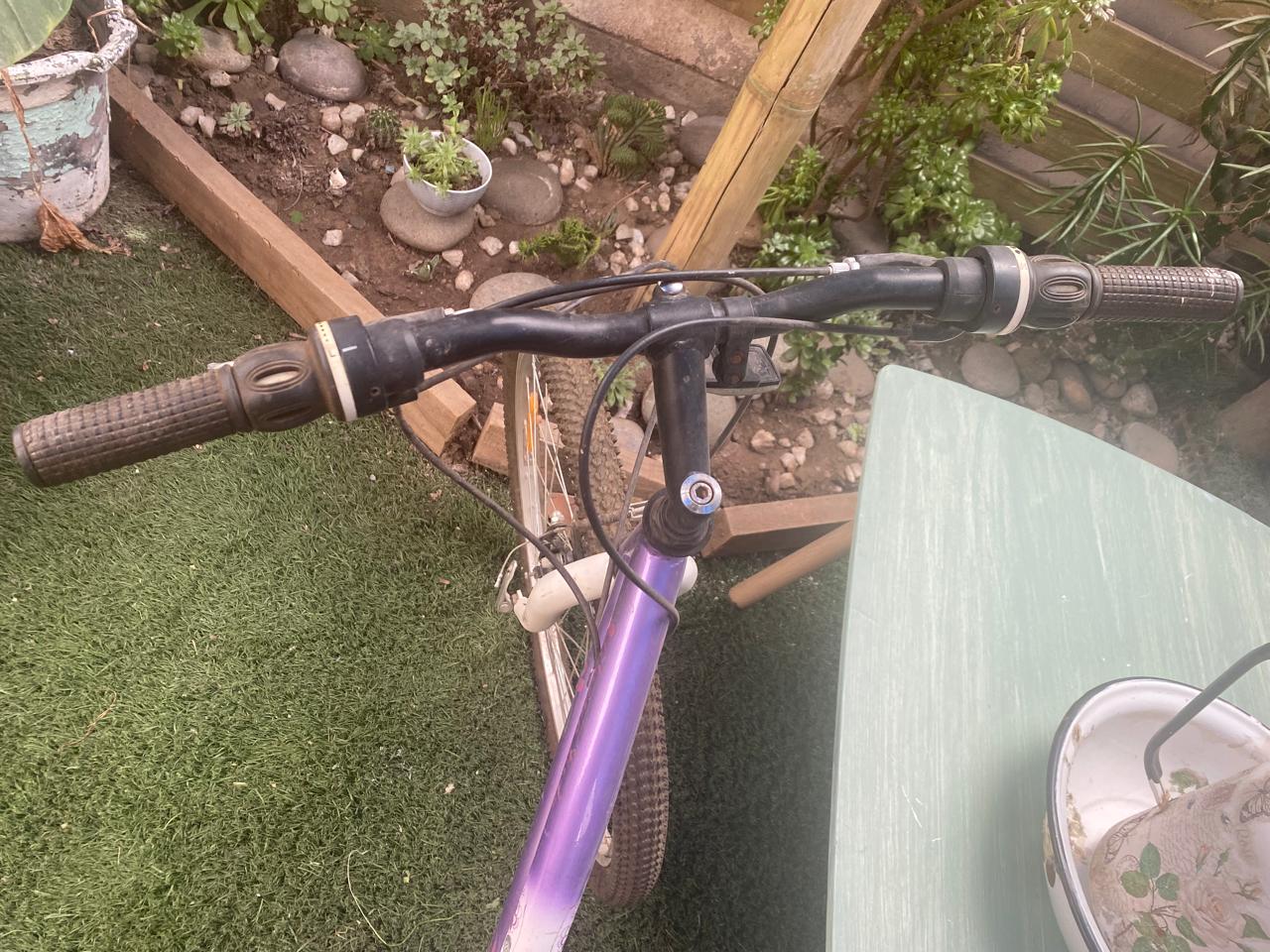 Bicicleta de paseo Fratta aro 24 - Imagen 2