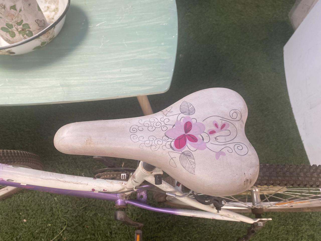 Bicicleta de paseo Fratta aro 24 - Imagen 3