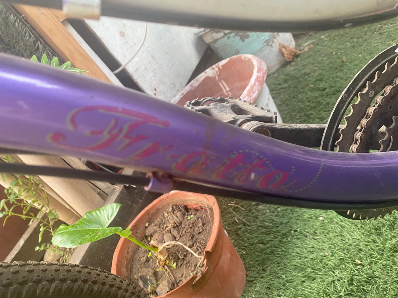 Bicicleta de paseo Fratta aro 24 - Imagen 6