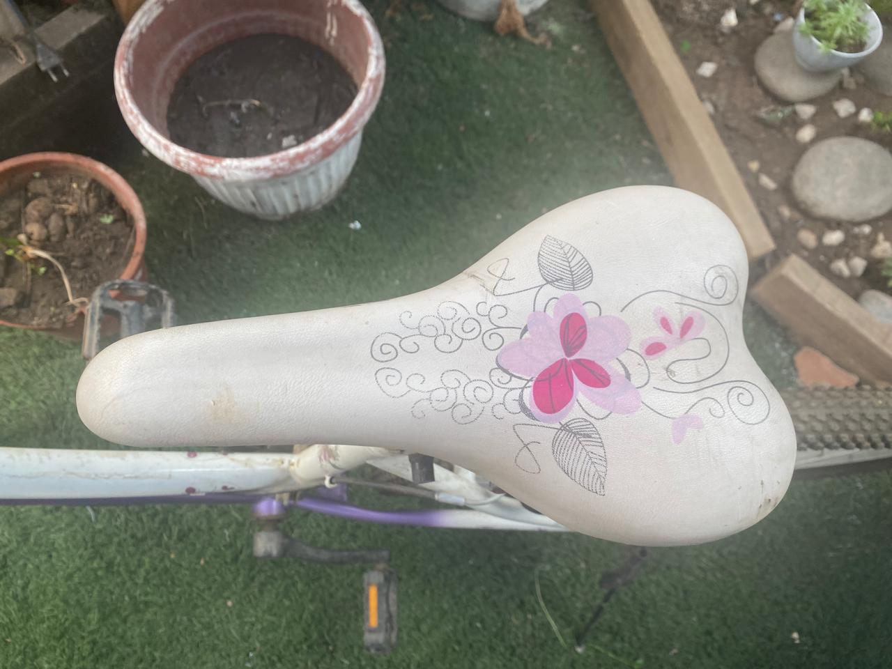 Bicicleta de paseo Fratta aro 24 - Imagen 7