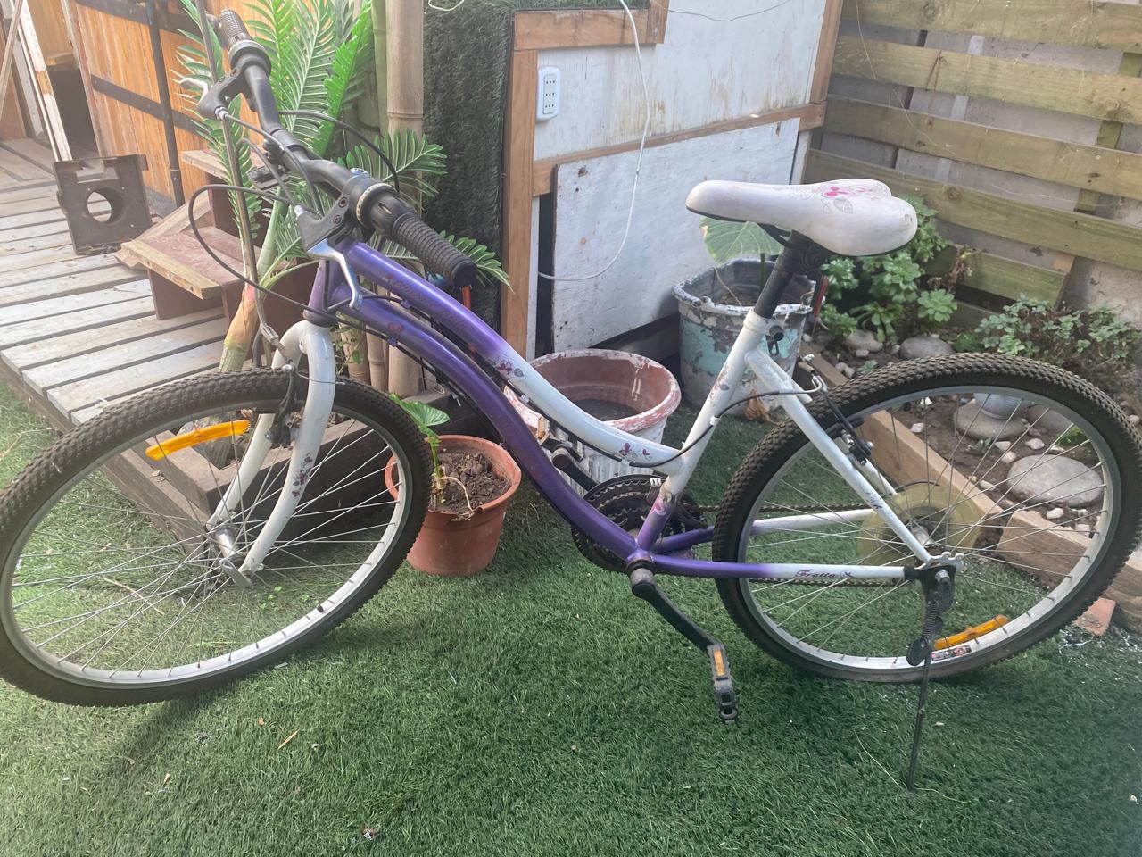 Bicicleta de paseo Fratta aro 24 - Imagen 5