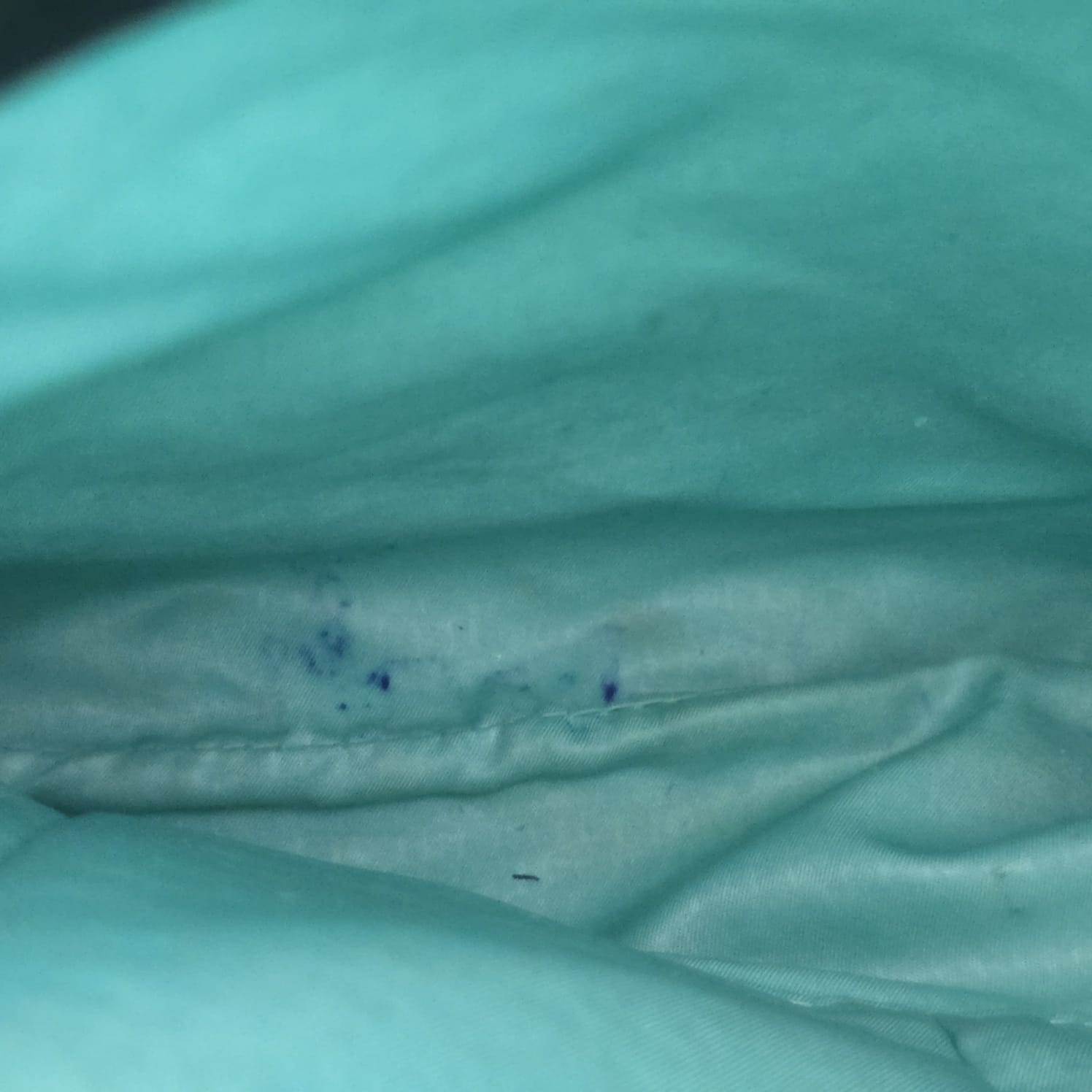 Bandolera TOUS original - Imagen 5