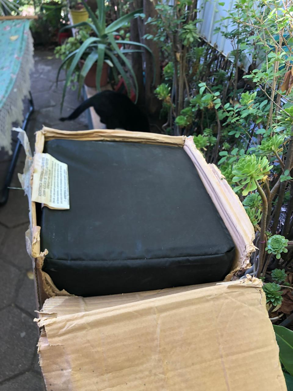 Carpa Coleman instant signature - Imagen 2