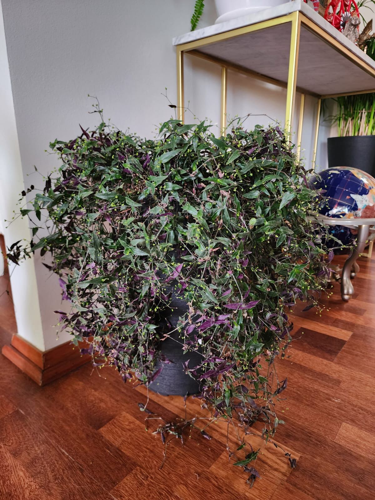 Velo de Novia en macetero Tubular doble fondo desmontable