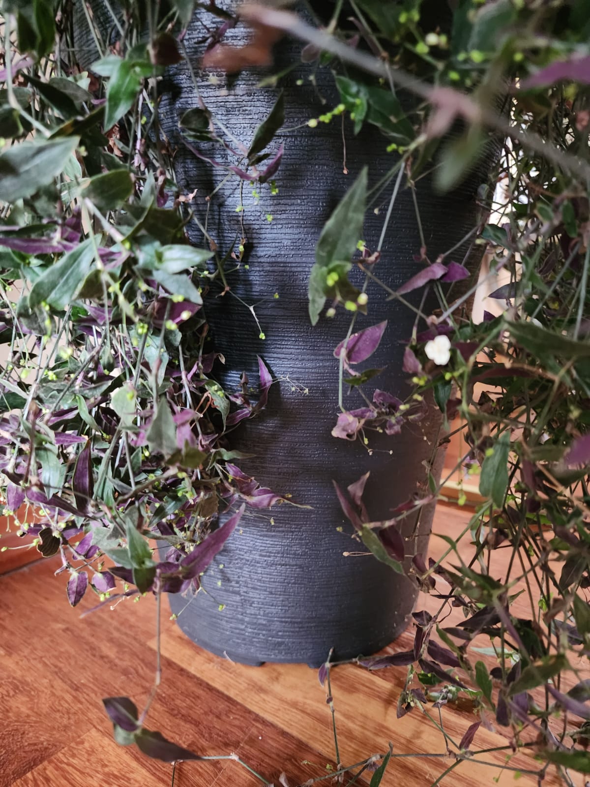 Velo de Novia en macetero Tubular doble fondo desmontable - Imagen 2