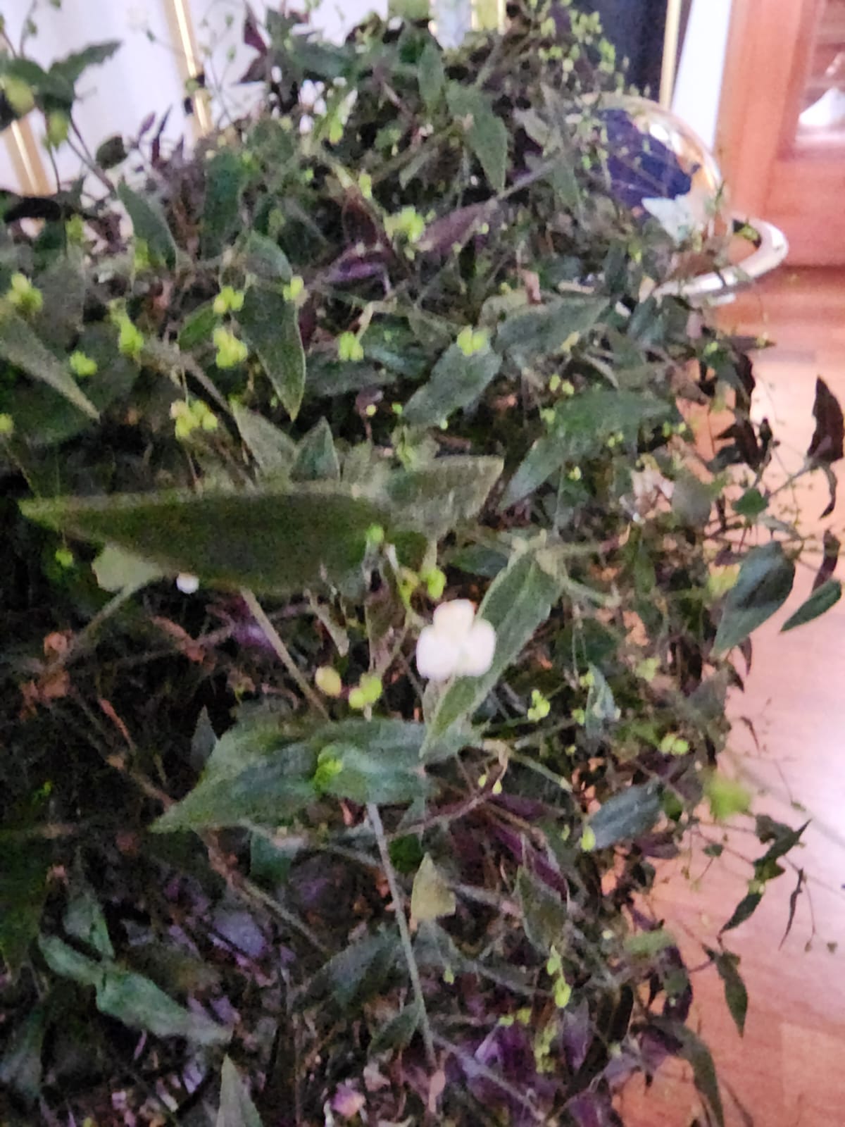 Velo de Novia en macetero Tubular doble fondo desmontable - Imagen 3