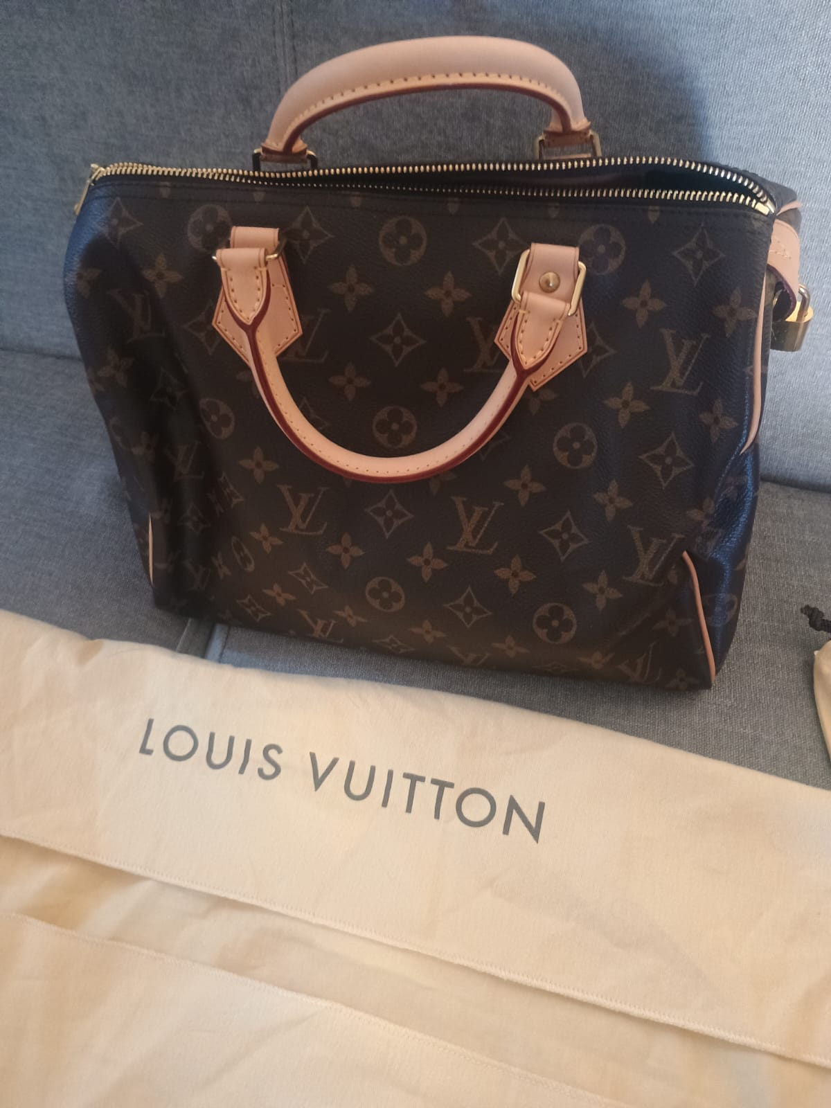 Cartera Louis Vuitton - Imagen 16
