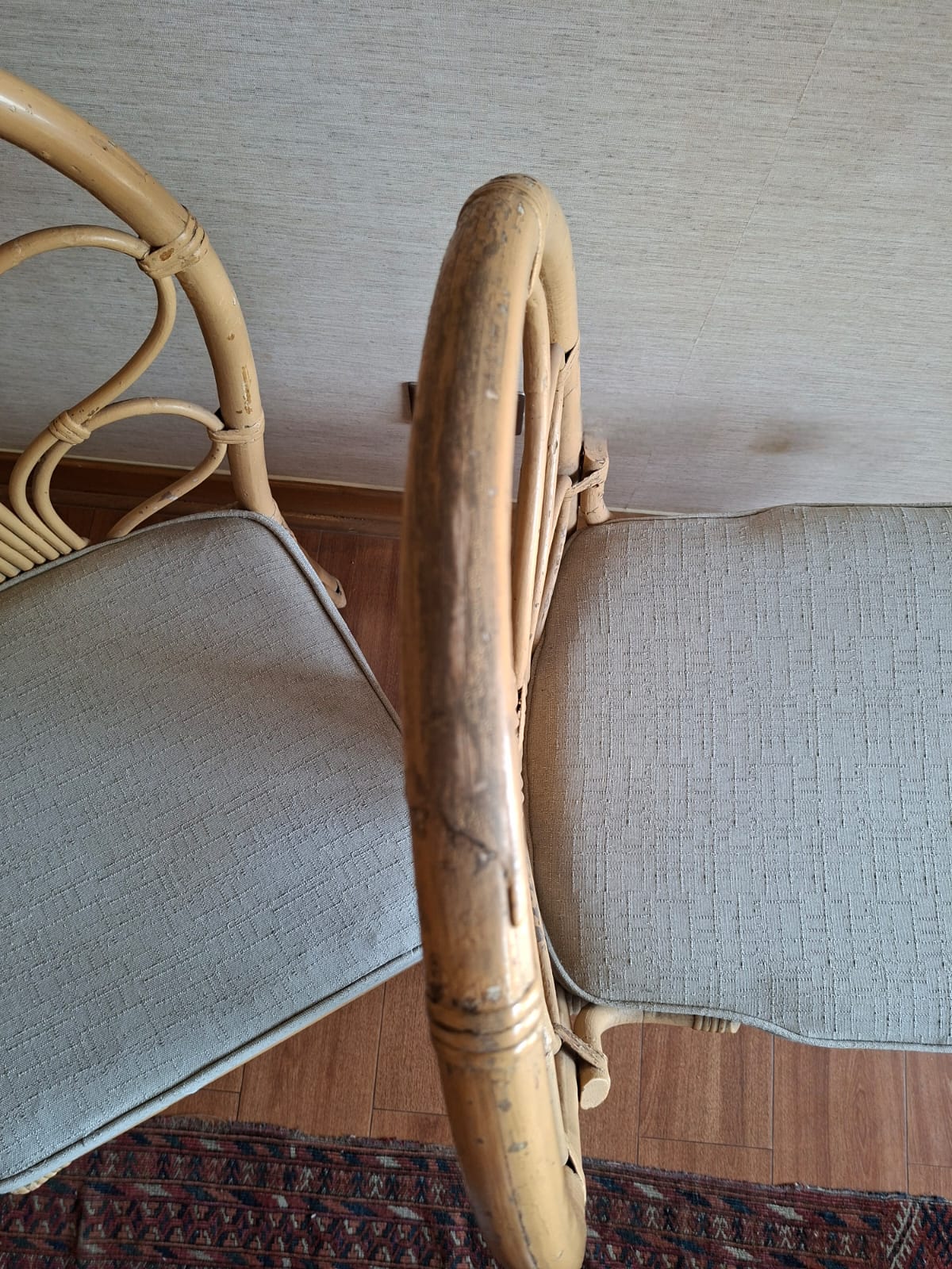 Par sillas Rattan pavo real - Imagen 2