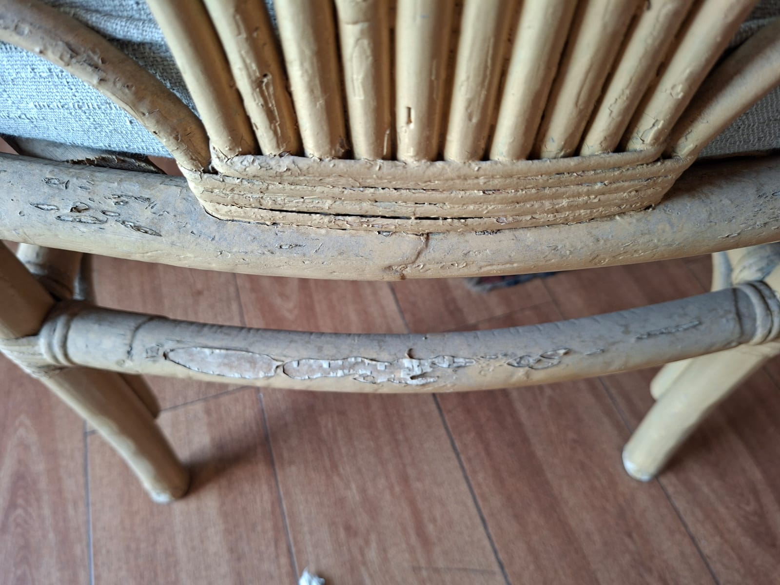 Par sillas Rattan pavo real - Imagen 5