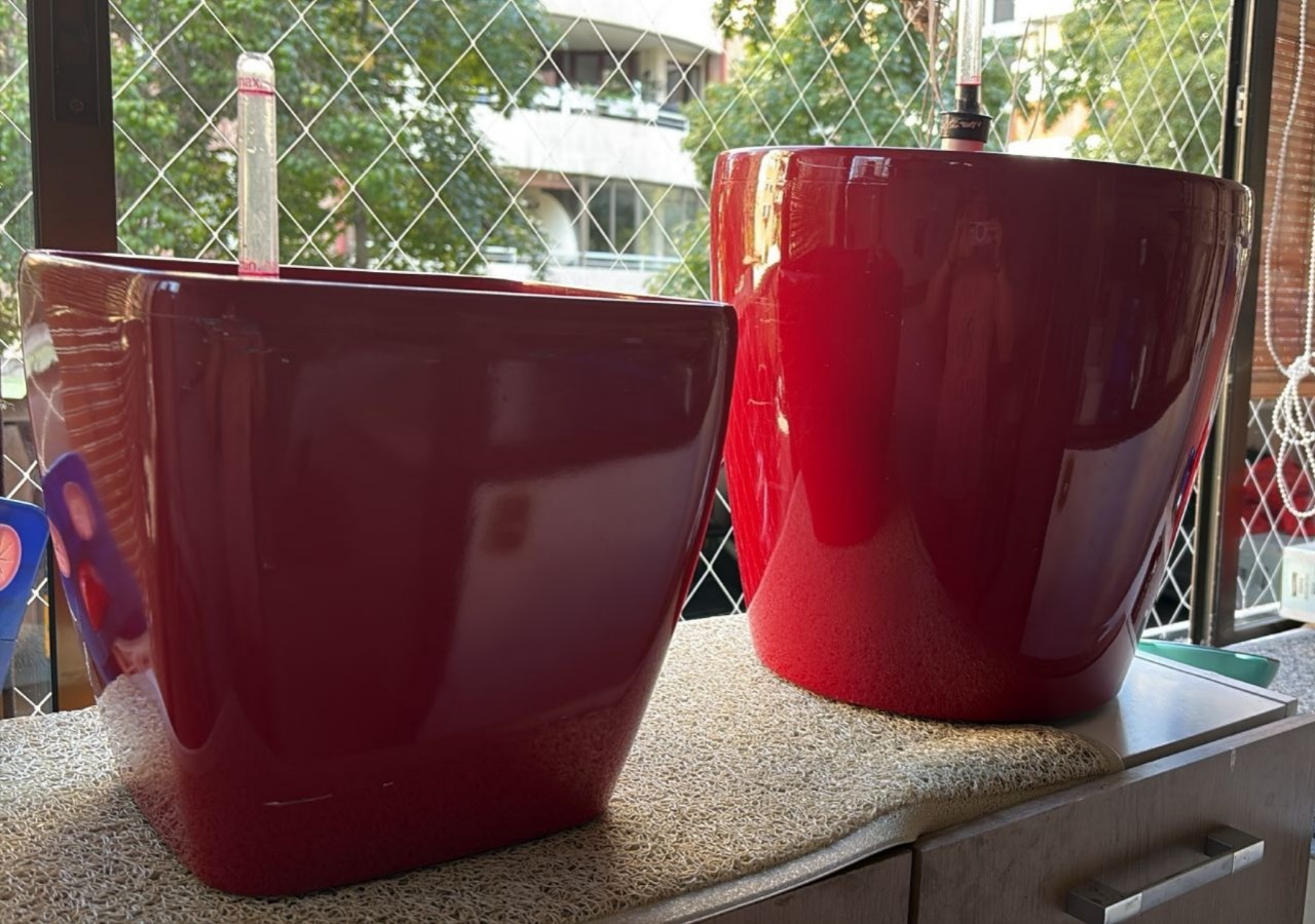 Maceteros autoregante rojos