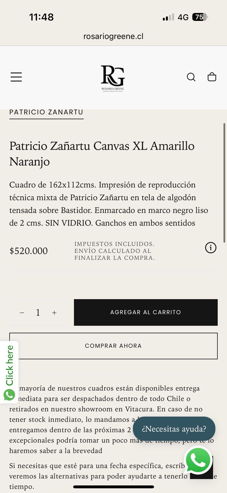 Cuadro impresión Patricio Zañartu - Imagen 3