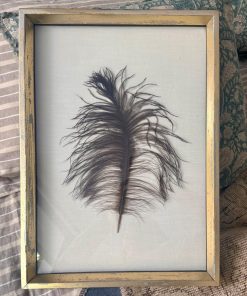 Cuadro pluma avestruz