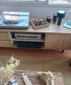 Parlantes Pioneer Japoneses 2 Vías