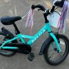 Bicicleta Belda Panther aro