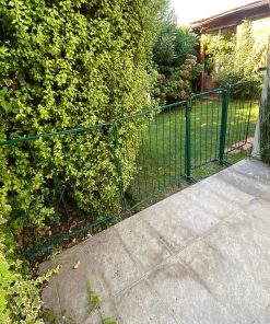 Reja de piscina fierro verde
