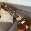 Sitar surbahar Tribal