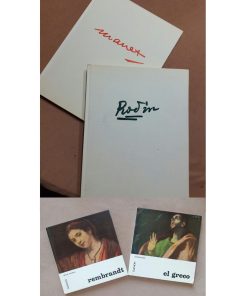 Colección 4 Libros Pintores