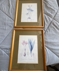 Par cuadros flores con paspartú