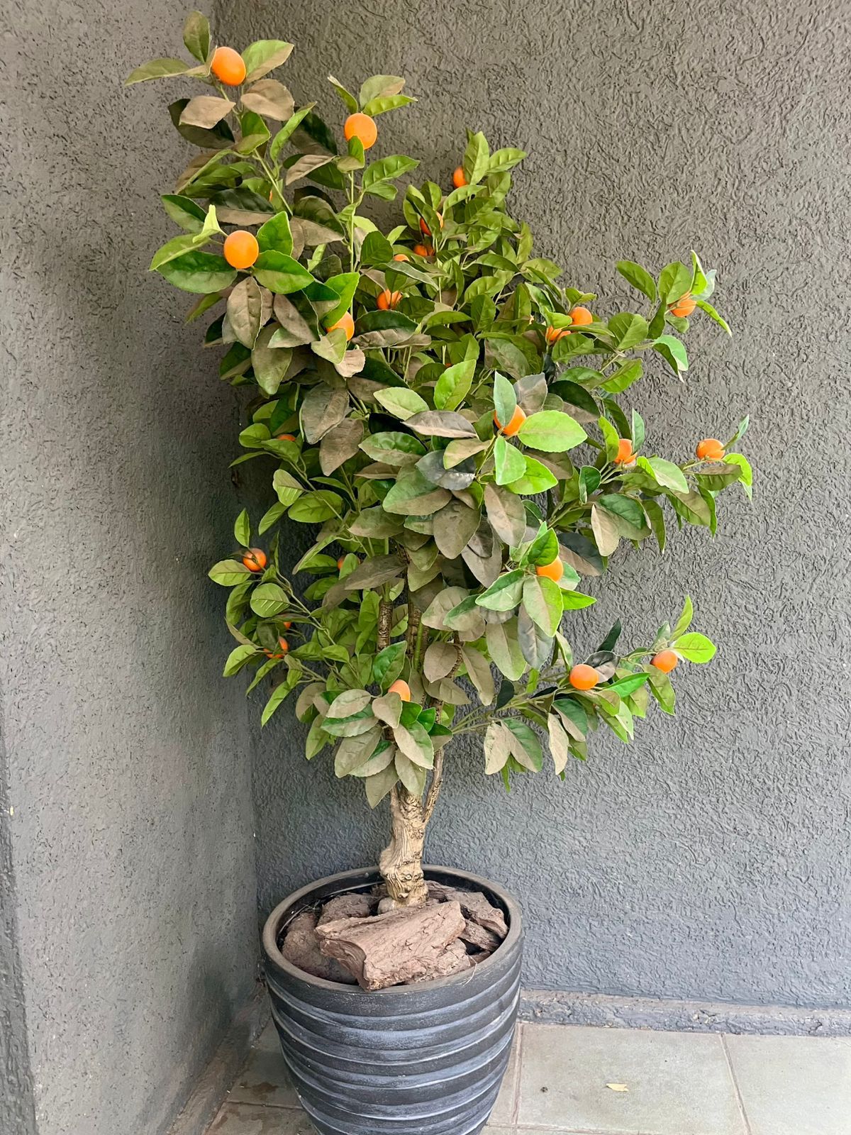 Planta mandarinas artificial
