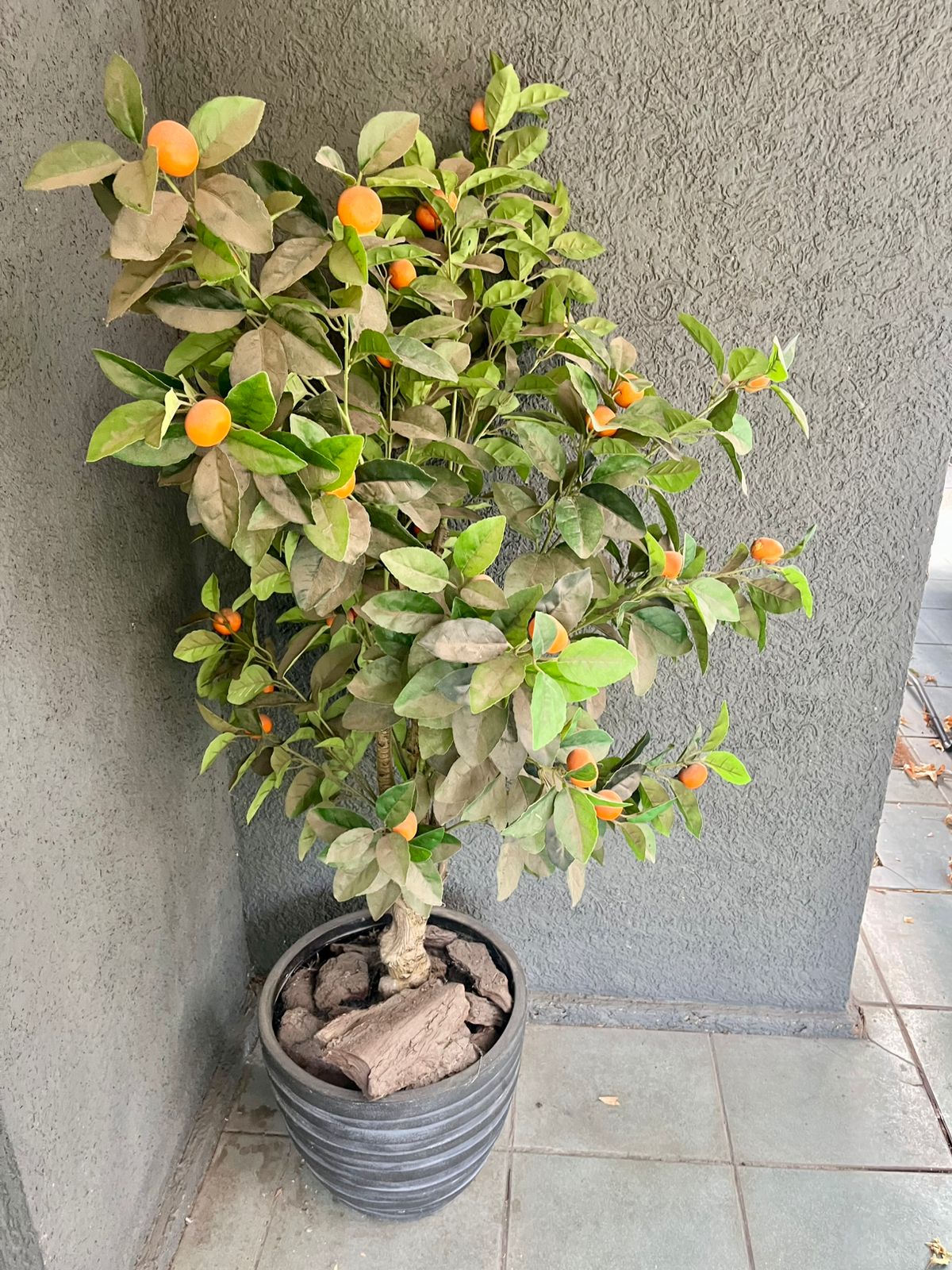 Planta mandarinas artificial - Imagen 2